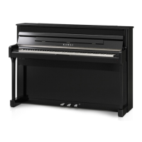 Preview: Kawai CS11