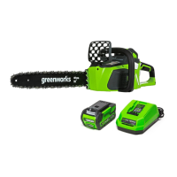 Preview: GreenWorks 20312