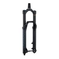 Preview: RockShox DOMAIN