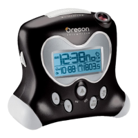 Preview: Oregon Scientific RM313P