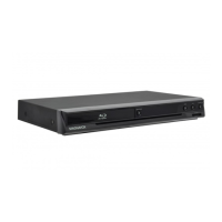 Preview: Magnavox MBP5210