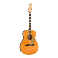 Preview: Fender MALIBU