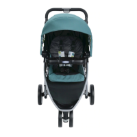 Preview: Graco Pace