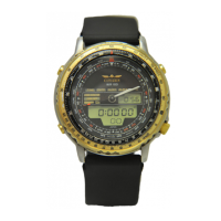 Preview: Citizen C080