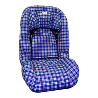 Preview: Britax CRUISER