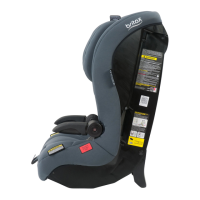 Preview: Britax MAXI RIDER