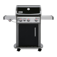 Preview: Weber Genesis E-330