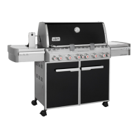 Preview: Weber Summit E-670