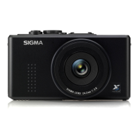 Preview: Sigma DP1X