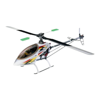 Preview: THUNDER TIGER Raptor E550