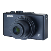 Preview: Sigma DP2S