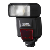 Preview: Sigma EF-530 DG SUPER SA-STTL