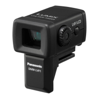 Preview: Panasonic DMW-LVF1