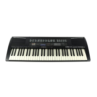 Preview: Kawai X30